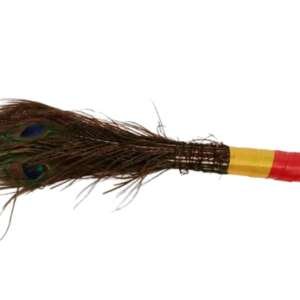 Moorpankh ki Jhadu (मोरपंख का झाडू)